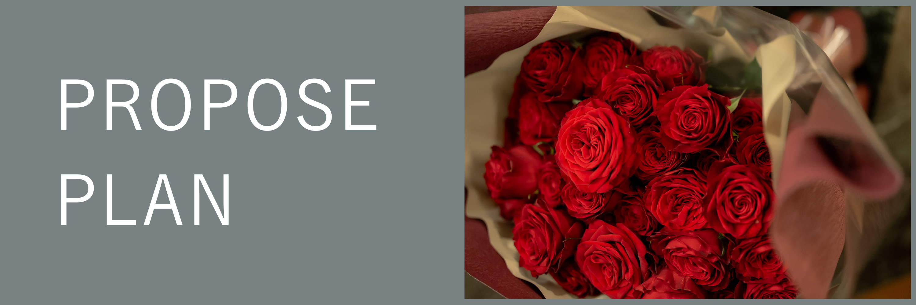 PROPOSE PLAN 大切なパートナーへあなたの想いを